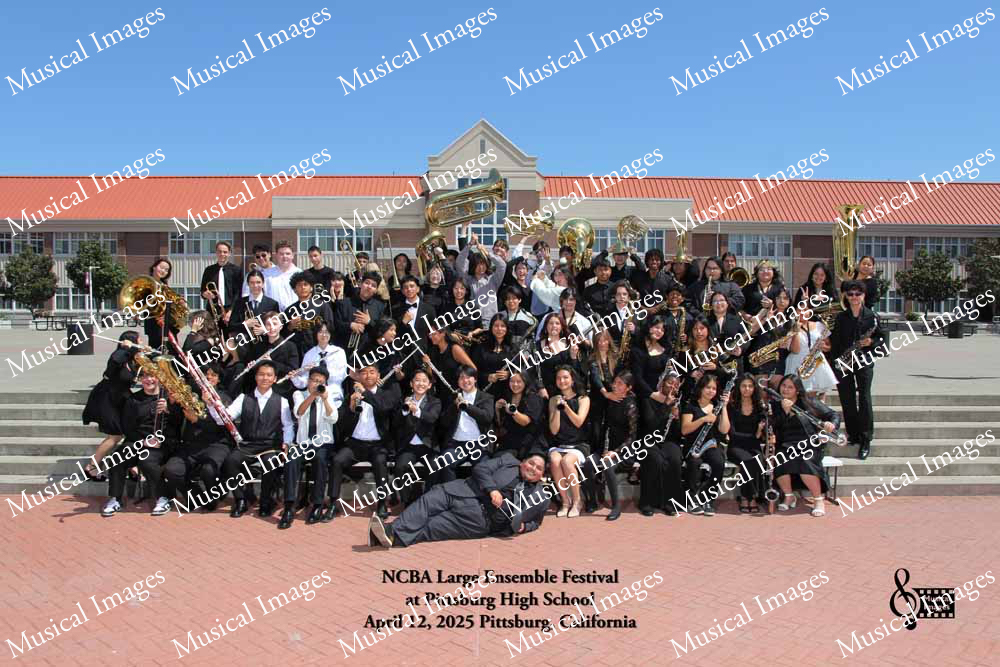 Musical Images